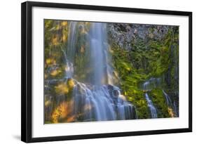 Proxy Falls in the Three Sisters Wilderness, Oregon, Usa-Chuck Haney-Framed Photographic Print