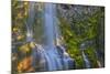 Proxy Falls in the Three Sisters Wilderness, Oregon, Usa-Chuck Haney-Mounted Photographic Print