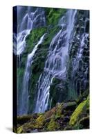 Proxy Falls-James Randklev-Stretched Canvas