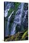 Proxy Falls-James Randklev-Stretched Canvas