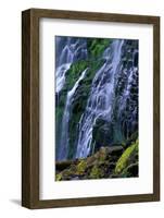 Proxy Falls-James Randklev-Framed Photographic Print