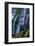 Proxy Falls-James Randklev-Framed Photographic Print