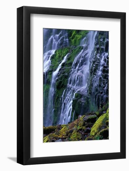 Proxy Falls-James Randklev-Framed Photographic Print