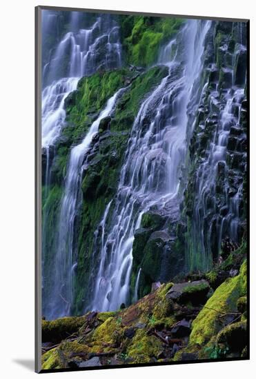 Proxy Falls-James Randklev-Mounted Photographic Print