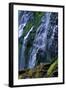 Proxy Falls-James Randklev-Framed Photographic Print