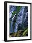 Proxy Falls-James Randklev-Framed Photographic Print