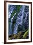 Proxy Falls-James Randklev-Framed Photographic Print