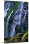 Proxy Falls-James Randklev-Mounted Photographic Print