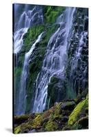 Proxy Falls-James Randklev-Stretched Canvas