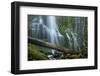 Proxy Falls-Bill Sherrell-Framed Photographic Print