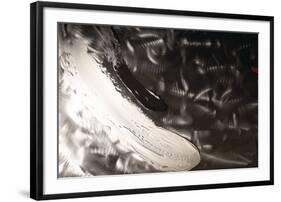 ProZperity-Pamela Nielsen-Framed Giclee Print