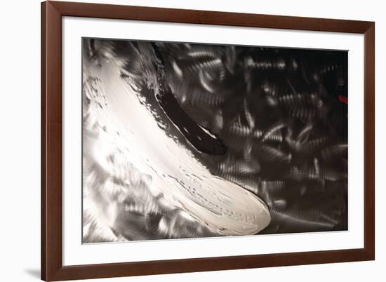 ProZperity-Pamela Nielsen-Framed Giclee Print