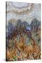 Prudent Man Agate, Origin Idaho-Darrell Gulin-Stretched Canvas