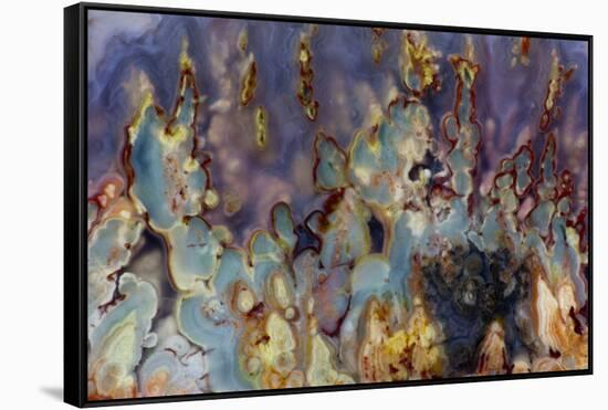 Prudent Man Agate, Origin Idaho-Darrell Gulin-Framed Stretched Canvas