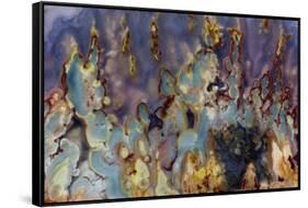 Prudent Man Agate, Origin Idaho-Darrell Gulin-Framed Stretched Canvas