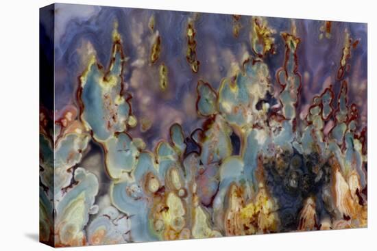 Prudent Man Agate, Origin Idaho-Darrell Gulin-Stretched Canvas