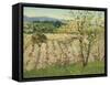 Prune Orchard, Los Gatos, California-Theodore Wores-Framed Stretched Canvas