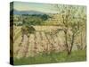 Prune Orchard, Los Gatos, California-Theodore Wores-Stretched Canvas