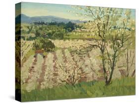 Prune Orchard, Los Gatos, California-Theodore Wores-Stretched Canvas