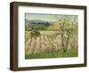 Prune Orchard, Los Gatos, California-Theodore Wores-Framed Giclee Print