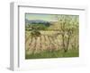 Prune Orchard, Los Gatos, California-Theodore Wores-Framed Giclee Print