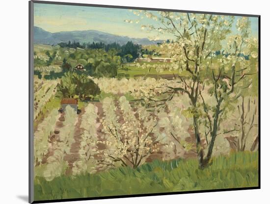 Prune Orchard, Los Gatos, California-Theodore Wores-Mounted Giclee Print