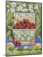 Prunus avium-Jennifer Abbott-Mounted Giclee Print
