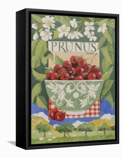 Prunus avium-Jennifer Abbott-Framed Stretched Canvas
