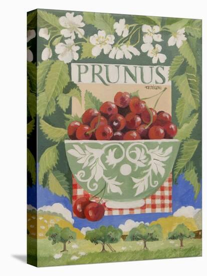 Prunus avium-Jennifer Abbott-Stretched Canvas