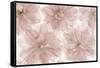 Prunus Blossom-Cora Niele-Framed Stretched Canvas