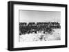 Prussian Cannons and Soldiers-null-Framed Photographic Print