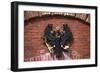 Prussian Eagle Crest, Detail from Door of Spandau Citadel, Circa 1680-null-Framed Giclee Print