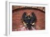 Prussian Eagle Crest, Detail from Door of Spandau Citadel, Circa 1680-null-Framed Giclee Print