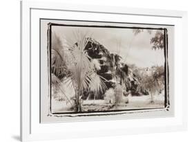 Pryamid and Palms, Guatemala-Theo Westenberger-Framed Photographic Print