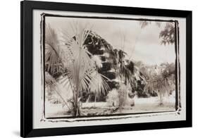 Pryamid and Palms, Guatemala-Theo Westenberger-Framed Photographic Print