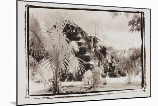 Pryamid and Palms, Guatemala-Theo Westenberger-Mounted Photographic Print