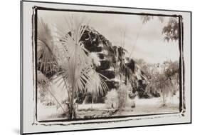 Pryamid and Palms, Guatemala-Theo Westenberger-Mounted Photographic Print