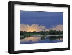 Prypiat River, Prypiat National Park, Belarus, June 2009-Máté-Framed Photographic Print