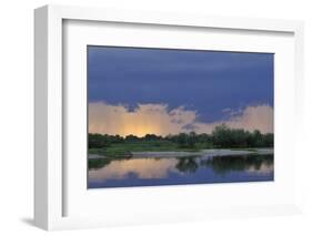 Prypiat River, Prypiat National Park, Belarus, June 2009-Máté-Framed Photographic Print