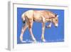 Przewalski Foal, 2012-Mark Adlington-Framed Giclee Print