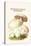 Psalliota Common Mushroom-Edmund Michael-Stretched Canvas