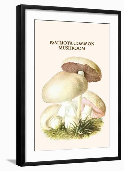 Psalliota Common Mushroom-Edmund Michael-Framed Art Print