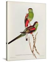 Psephotus Pulcherrimus-John Gould-Stretched Canvas