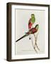 Psephotus Pulcherrimus-John Gould-Framed Giclee Print