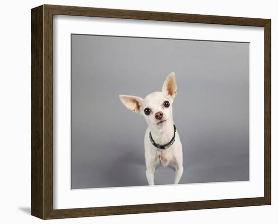 Psssst...-Susan Sabo-Framed Photographic Print