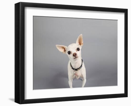 Psssst...-Susan Sabo-Framed Photographic Print