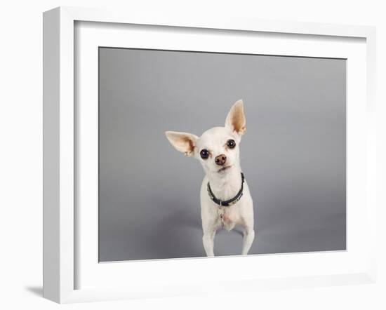 Psssst...-Susan Sabo-Framed Photographic Print