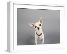 Psssst...-Susan Sabo-Framed Photographic Print