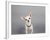 Psssst...-Susan Sabo-Framed Photographic Print