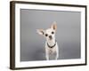 Psssst...-Susan Sabo-Framed Photographic Print